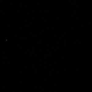 Meet your Posher, Addison